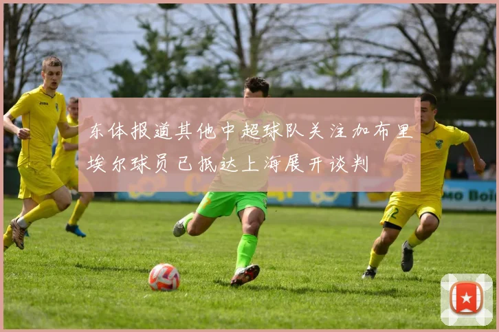 东体报道其他中超球队关注加布里埃尔球员已抵达上海展开谈判